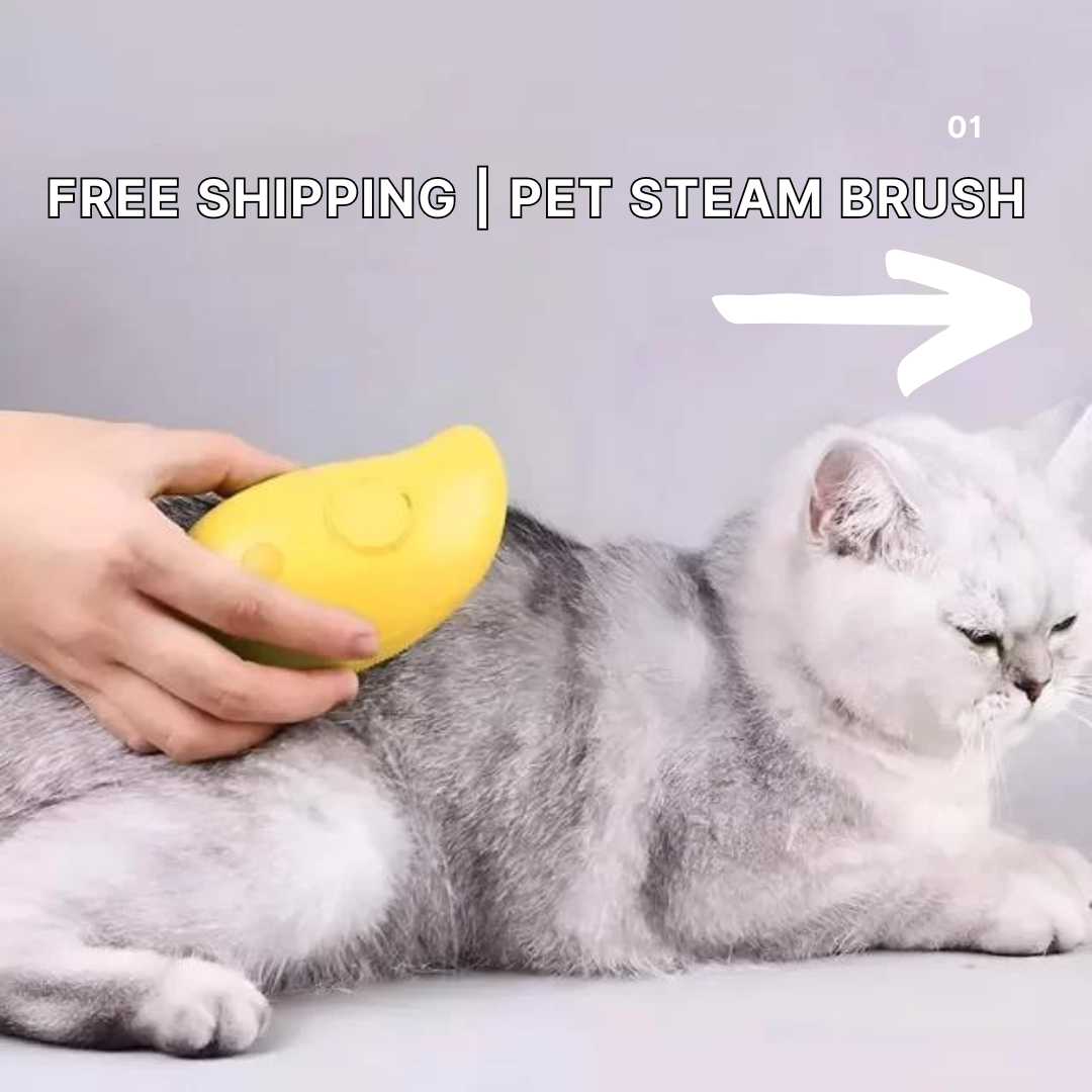 Pet Steam Brush