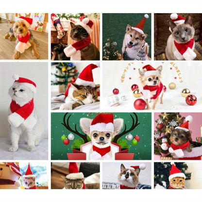 Pet Christmas Hat and Scarf Set